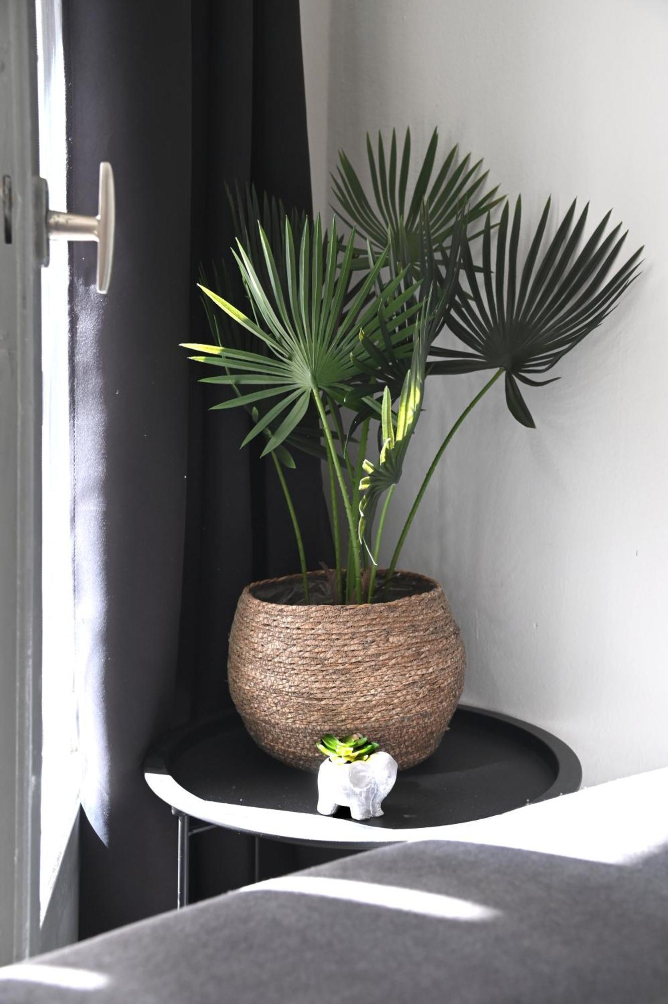 Apartment Didis Place